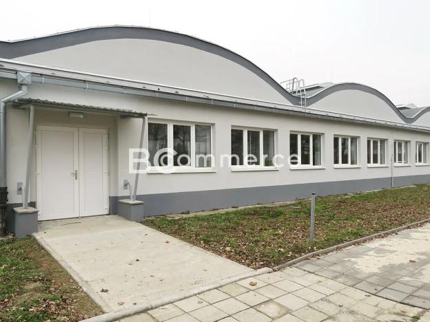 Pronájem skladu, Holubice, 1124 m2