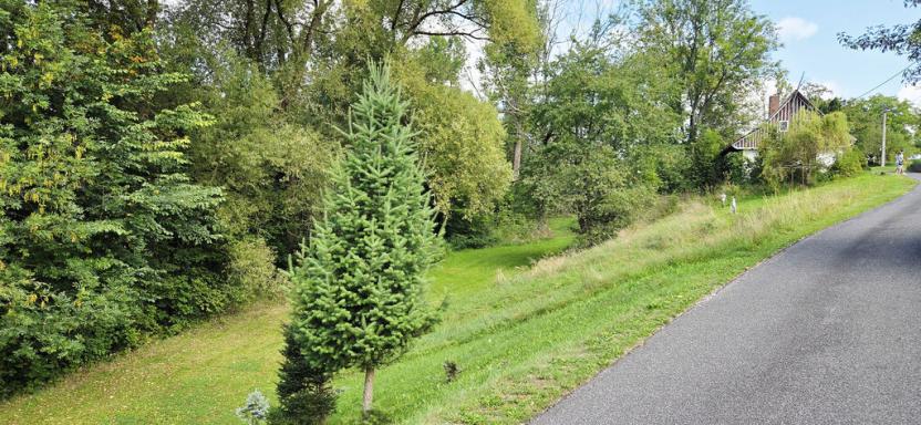 Prodej domu, Bystrá nad Jizerou, 130 m2