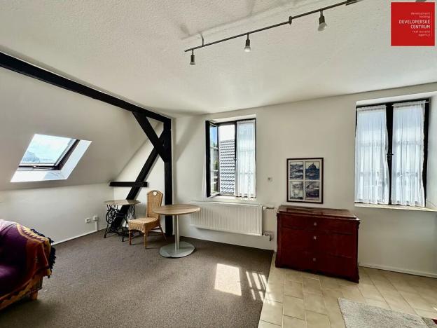 Prodej rodinného domu, Mnichov, 311 m2