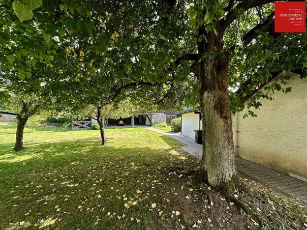 Prodej rodinného domu, Mnichov, 311 m2