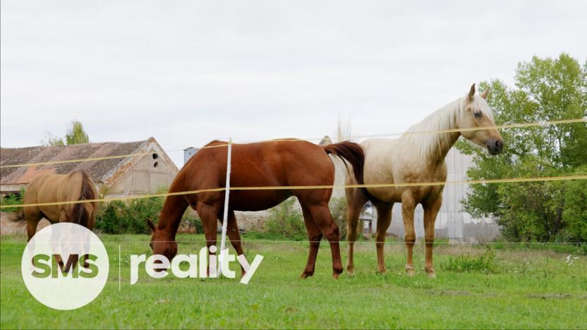 Prodej rodinného domu, Tvořihráz, 204 m2