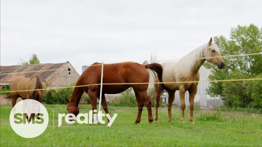 Prodej rodinného domu, Tvořihráz, 204 m2