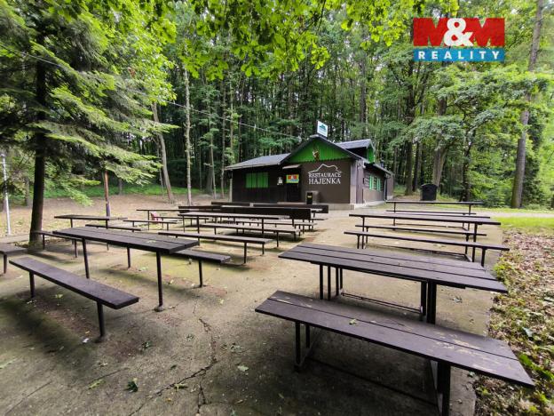 Pronájem restaurace, Orlová - Lutyně, Modřínová, 330 m2