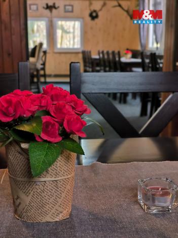 Pronájem restaurace, Orlová - Lutyně, Modřínová, 330 m2