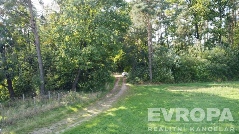 Prodej pozemku, Rokytno, 114950 m2