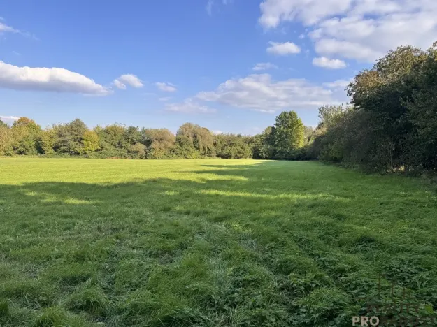 Prodej louky, Rohatec, 3793 m2