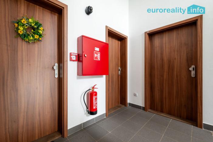 Pronájem bytu 3+kk, Luby, Revoluční, 58 m2