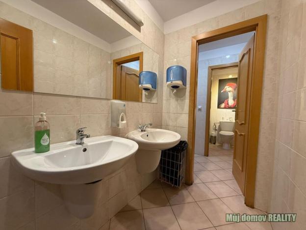 Pronájem restaurace, Praha - Vinohrady, Jana Masaryka, 171 m2