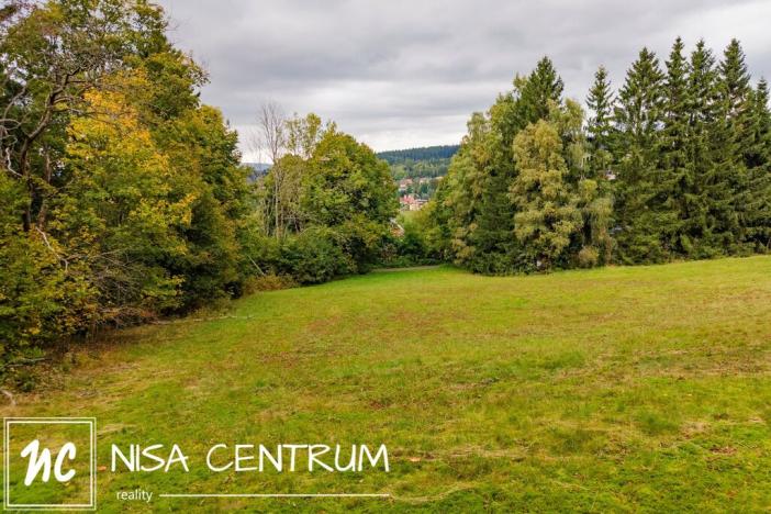 Prodej louky, Maršovice, 4745 m2