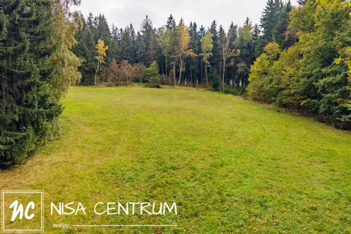 Prodej louky, Maršovice, 4745 m2