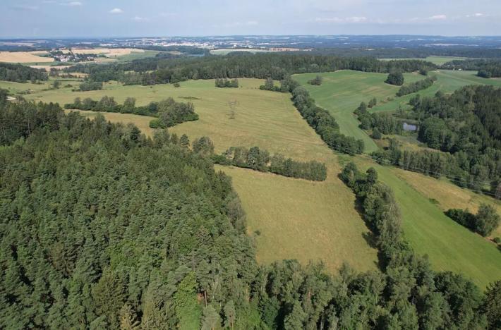 Prodej pole, Kačlehy, 19445 m2