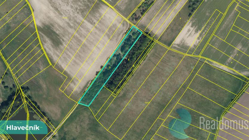 Prodej pole, Hlavečník, 3089 m2