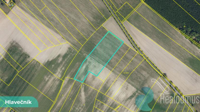 Prodej pole, Hlavečník, 3089 m2