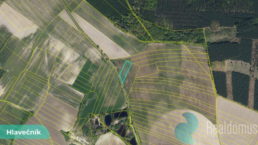 Prodej pole, Hlavečník, 3089 m2
