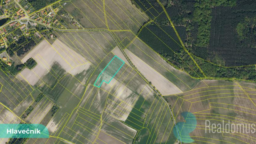 Prodej pole, Hlavečník, 3089 m2