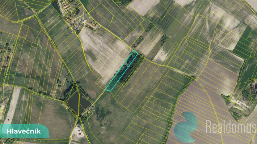 Prodej pole, Hlavečník, 3089 m2