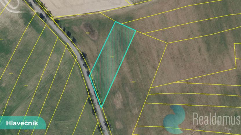 Prodej podílu 1/8 pole, Hlavečník, 3089 m2