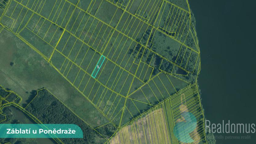 Prodej pole, Záblatí, 4195 m2