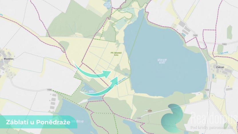 Prodej podílu 1/2 pole, Záblatí, 4195 m2