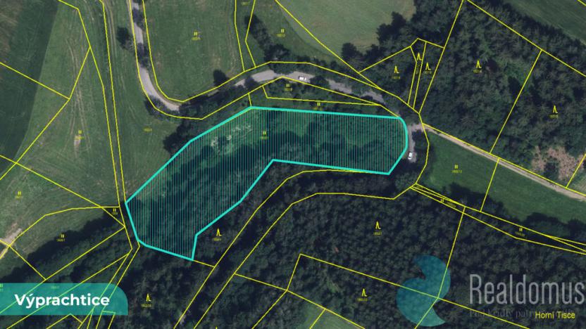 Prodej louky, Výprachtice, 6838 m2