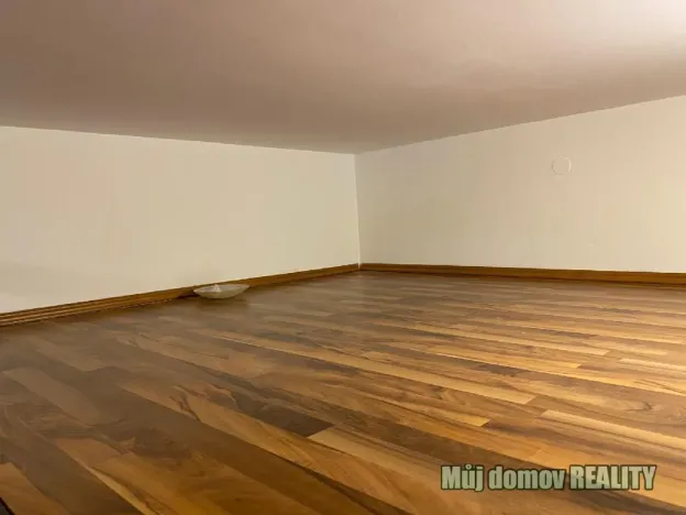 Pronájem bytu 1+kk, Praha - Vysočany, Freyova, 30 m2