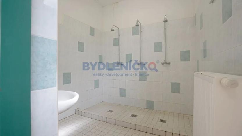 Prodej rodinného domu, Staré Hodějovice, Dolní, 2163 m2