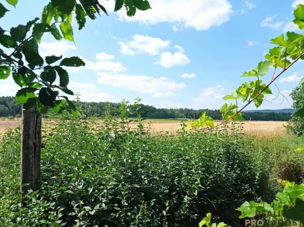 Prodej chalupy, Krty, 100 m2