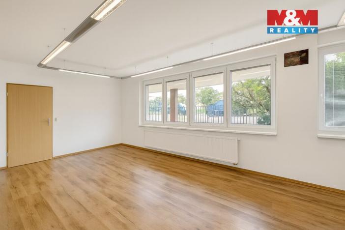 Prodej obchodního prostoru, Praha - Strašnice, Radošovická, 39 m2