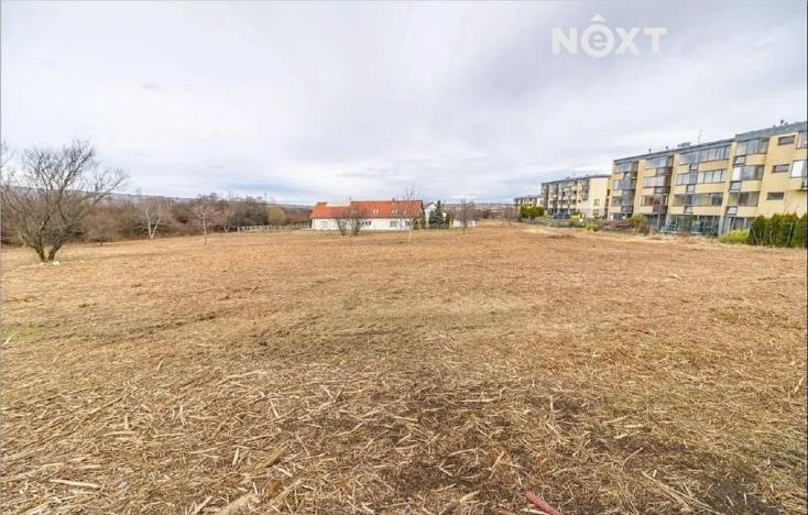 Prodej komerčního pozemku, Praha - Zličín, Lipovská, 9821 m2