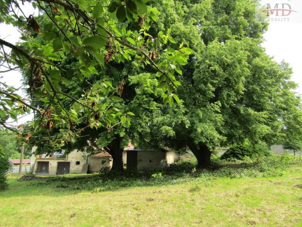 Prodej chalupy, Běšiny - Kozí, 270 m2