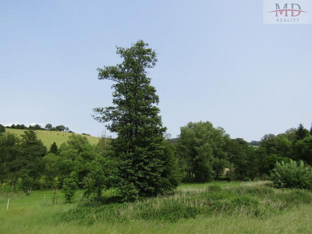 Prodej chalupy, Běšiny - Kozí, 270 m2