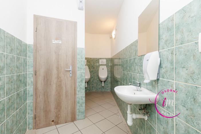 Prodej obchodního prostoru, Jihlava - Horní Kosov, Buková, 242 m2