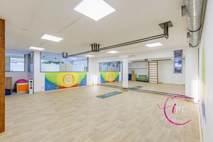 Prodej obchodního prostoru, Jihlava - Horní Kosov, Buková, 242 m2