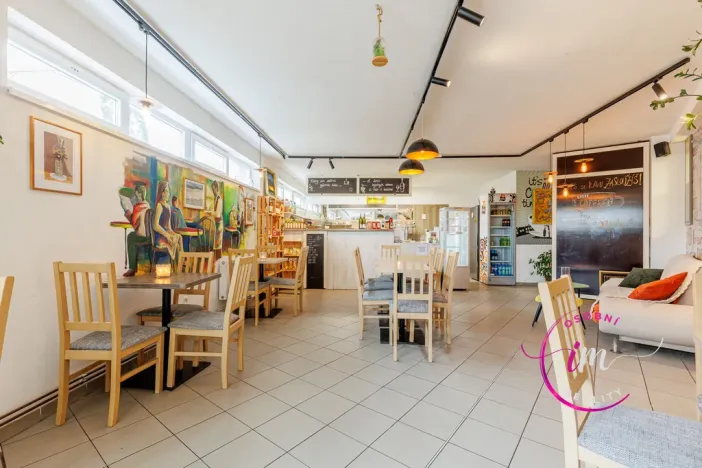 Prodej obchodního prostoru, Jihlava - Horní Kosov, Buková, 242 m2