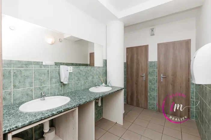 Prodej obchodního prostoru, Jihlava - Horní Kosov, Buková, 242 m2