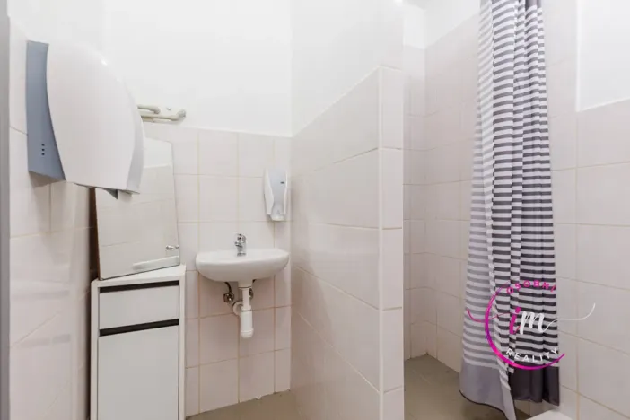 Prodej obchodního prostoru, Jihlava - Horní Kosov, Buková, 242 m2