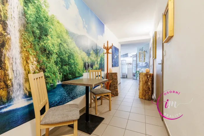 Prodej obchodního prostoru, Jihlava - Horní Kosov, Buková, 242 m2