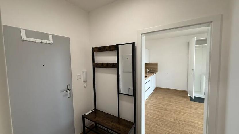 Pronájem bytu 1+kk, Přerov, Čechova, 39 m2