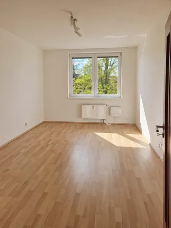 Pronájem bytu 1+1, Praha - Komořany, Krupná, 40 m2