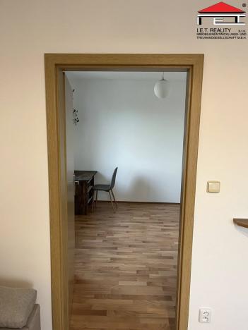 Pronájem bytu 1+1, Panenské Břežany, Družstevní, 38 m2