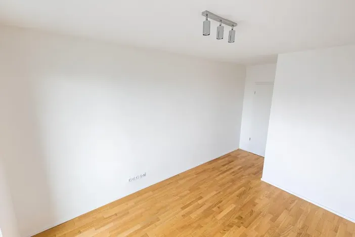 Prodej bytu 2+kk, Praha - Žižkov, Seifertova, 63 m2