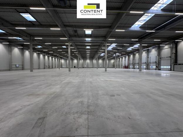 Pronájem výrobních prostor, Pardubice - Rosice, Salavcova, 7823 m2