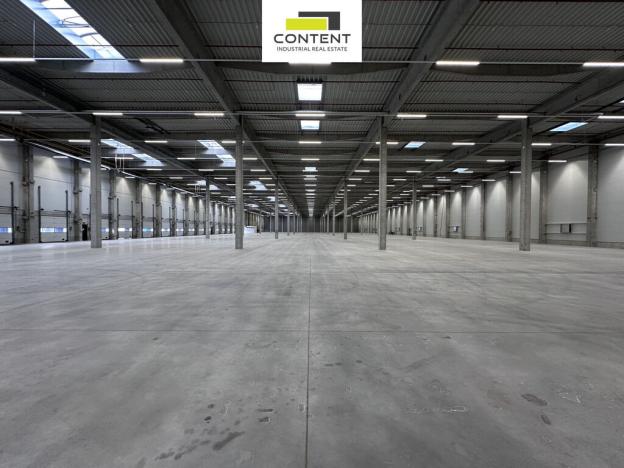 Pronájem výrobních prostor, Pardubice - Rosice, Salavcova, 7823 m2