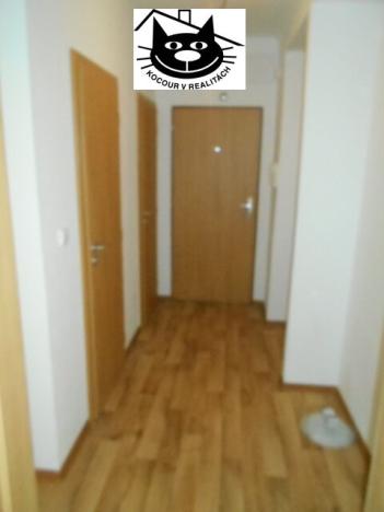 Pronájem bytu 2+kk, Příbram - Příbram VII, Prof. Skupy, 50 m2