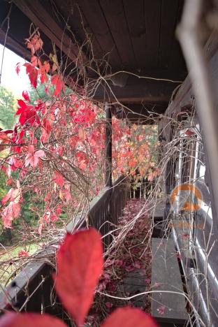 Prodej chalupy, Český Dub - Kněžičky, 157 m2