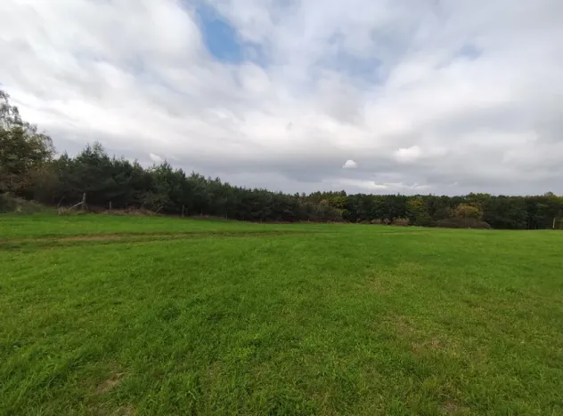 Prodej lesa, Nečín, 44533 m2