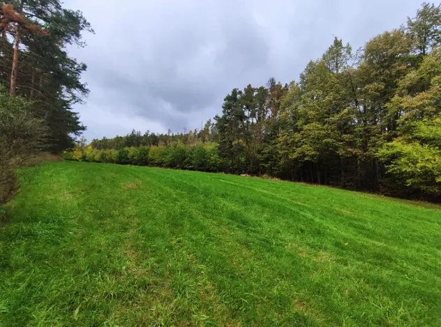 Prodej lesa, Nečín, 44533 m2