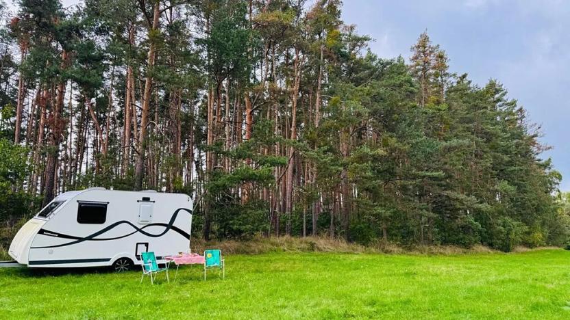 Prodej lesa, Nečín, 44533 m2