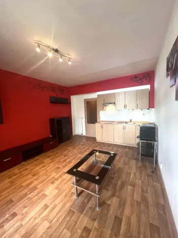Pronájem bytu 1+kk, Plzeň - Severní Předměstí, Sedlecká, 32 m2