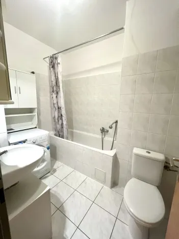 Pronájem bytu 1+kk, Plzeň - Severní Předměstí, Sedlecká, 32 m2